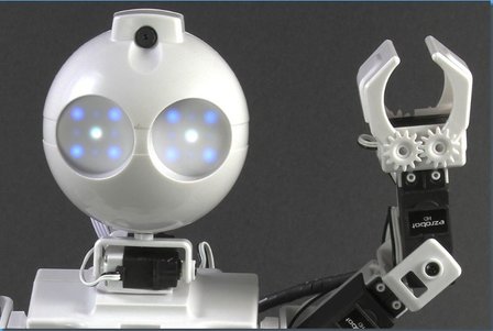 Humanoid head with camera &amp; RGB eyes