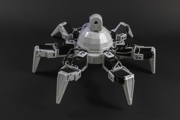 Six hexapod