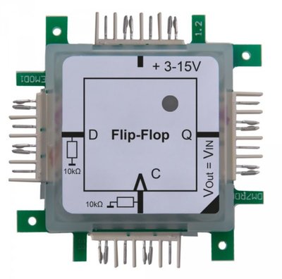 Brick'R'knowledge Logic D Flip-Flop